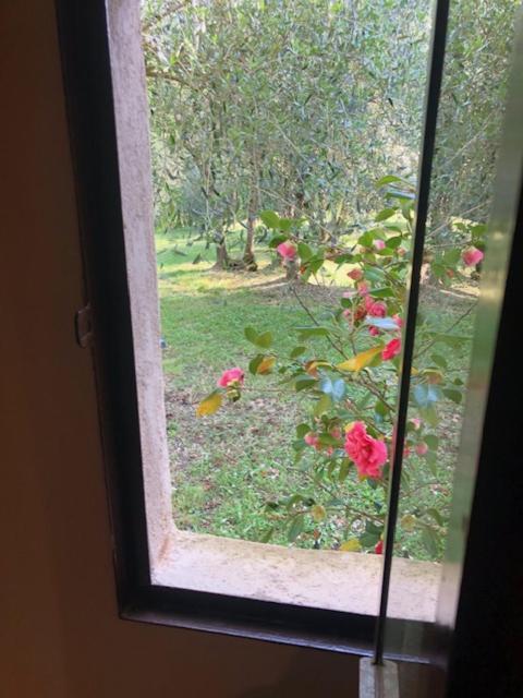 Agriturismo La Pieve Colle Val D'Elsa Ngoại thất bức ảnh