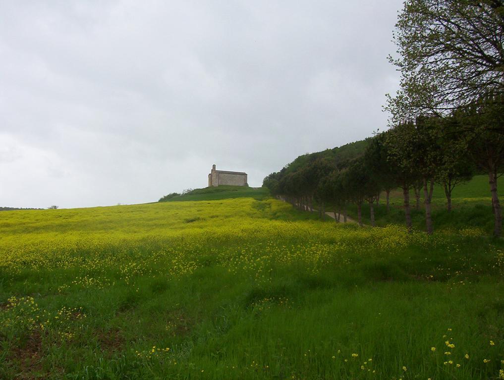 Agriturismo La Pieve Colle Val D'Elsa Ngoại thất bức ảnh
