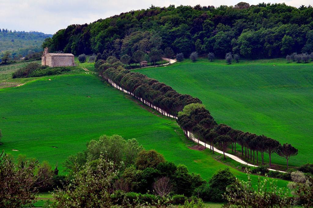 Agriturismo La Pieve Colle Val D'Elsa Ngoại thất bức ảnh