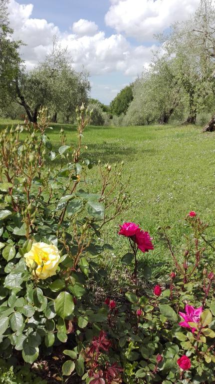 Agriturismo La Pieve Colle Val D'Elsa Ngoại thất bức ảnh